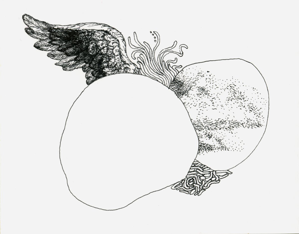 Drawing 8