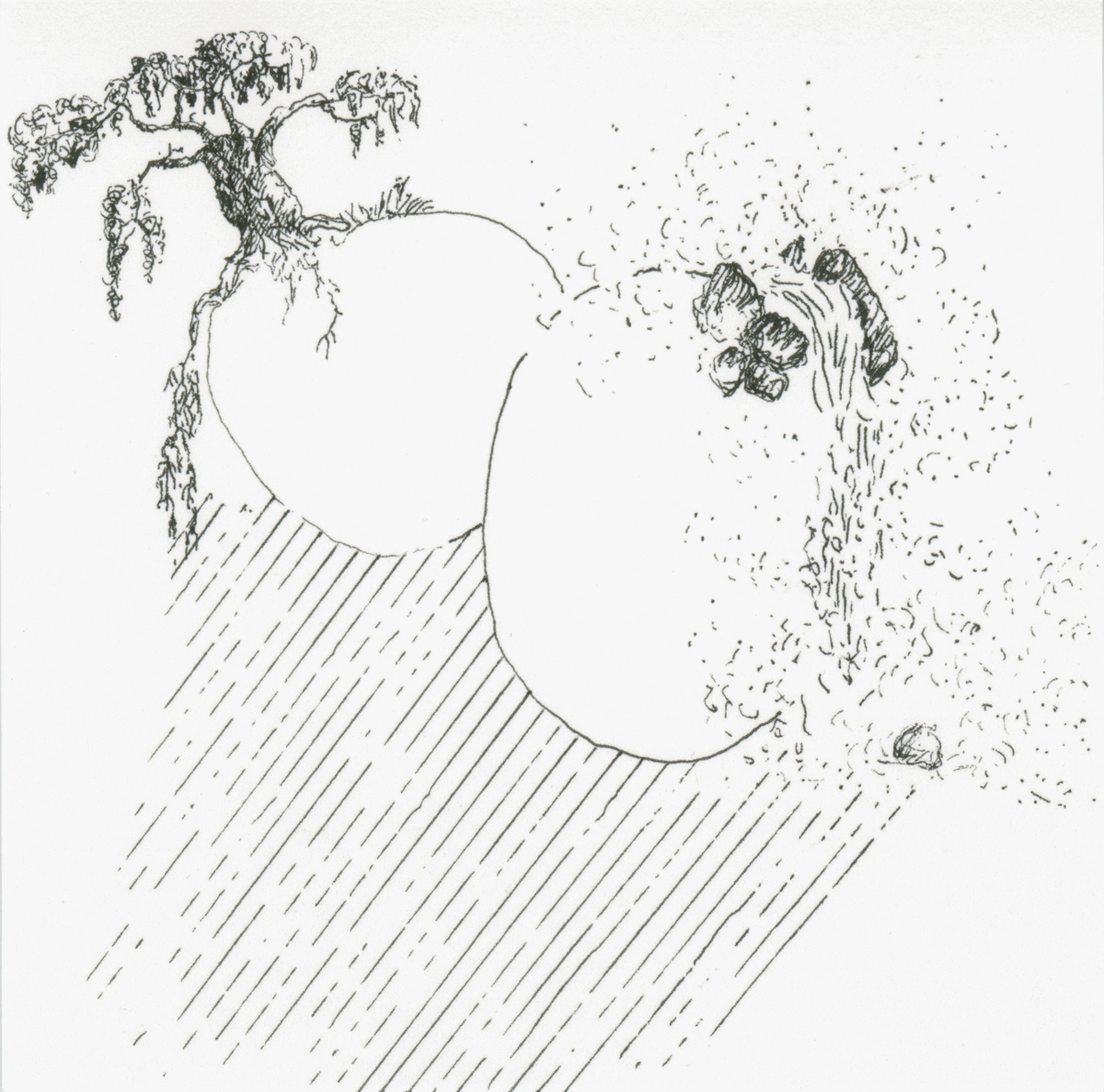 Drawing 21