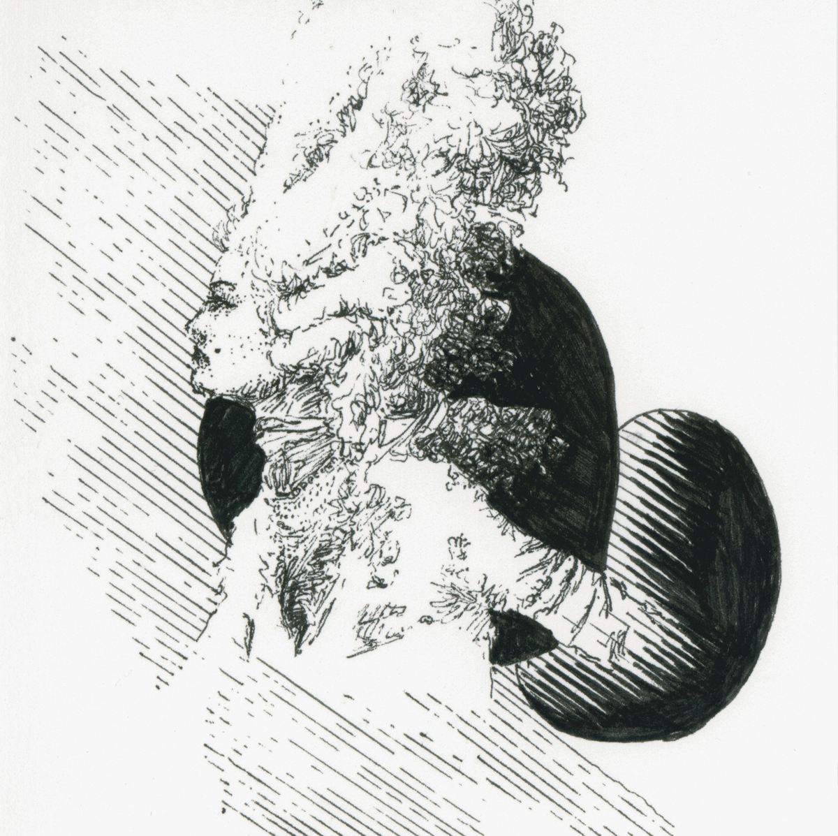 Drawing 22