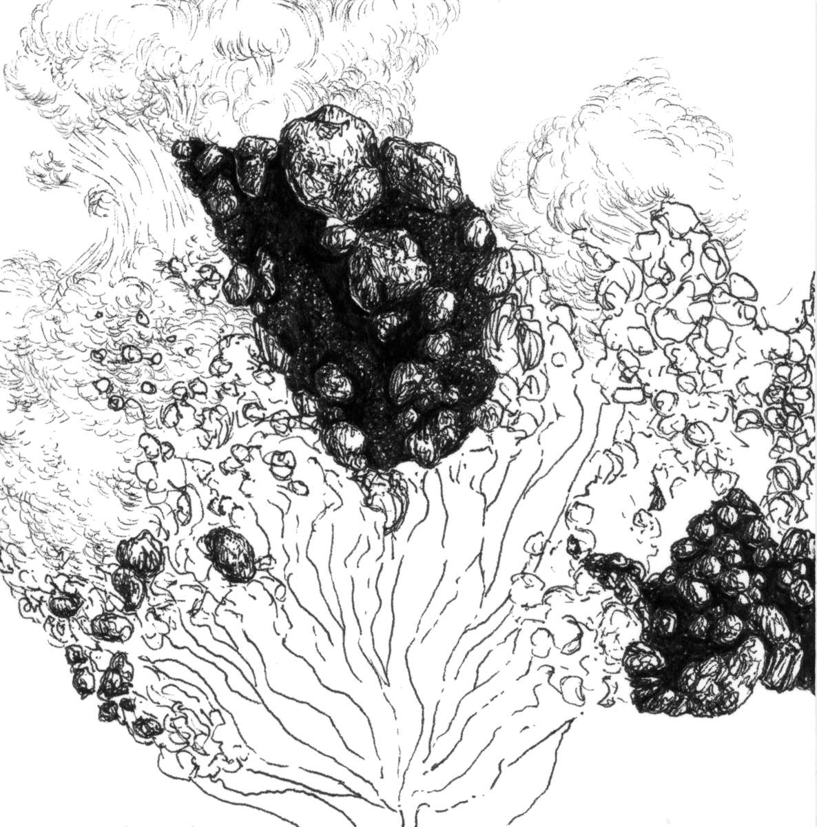 Drawing 30