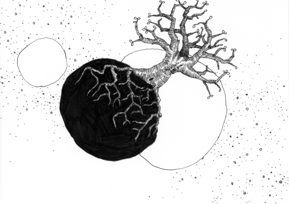 Drawing 32