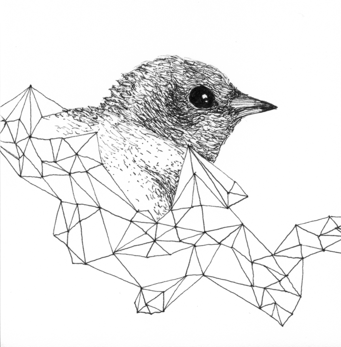 Drawing 38