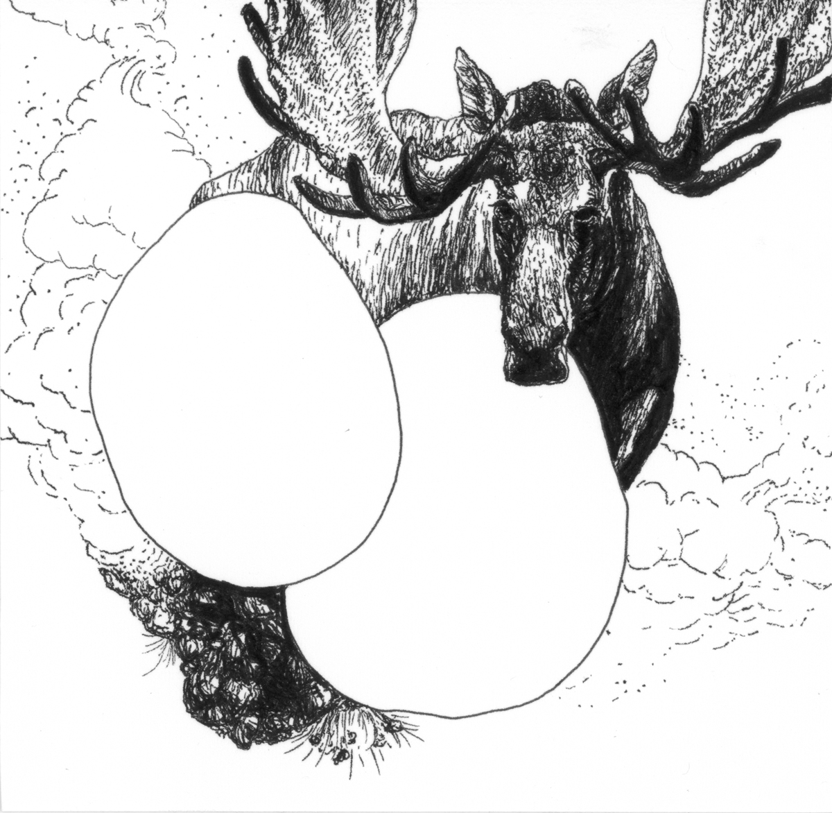 Drawing 41