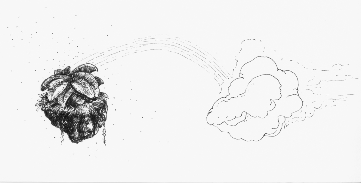 Drawing 51