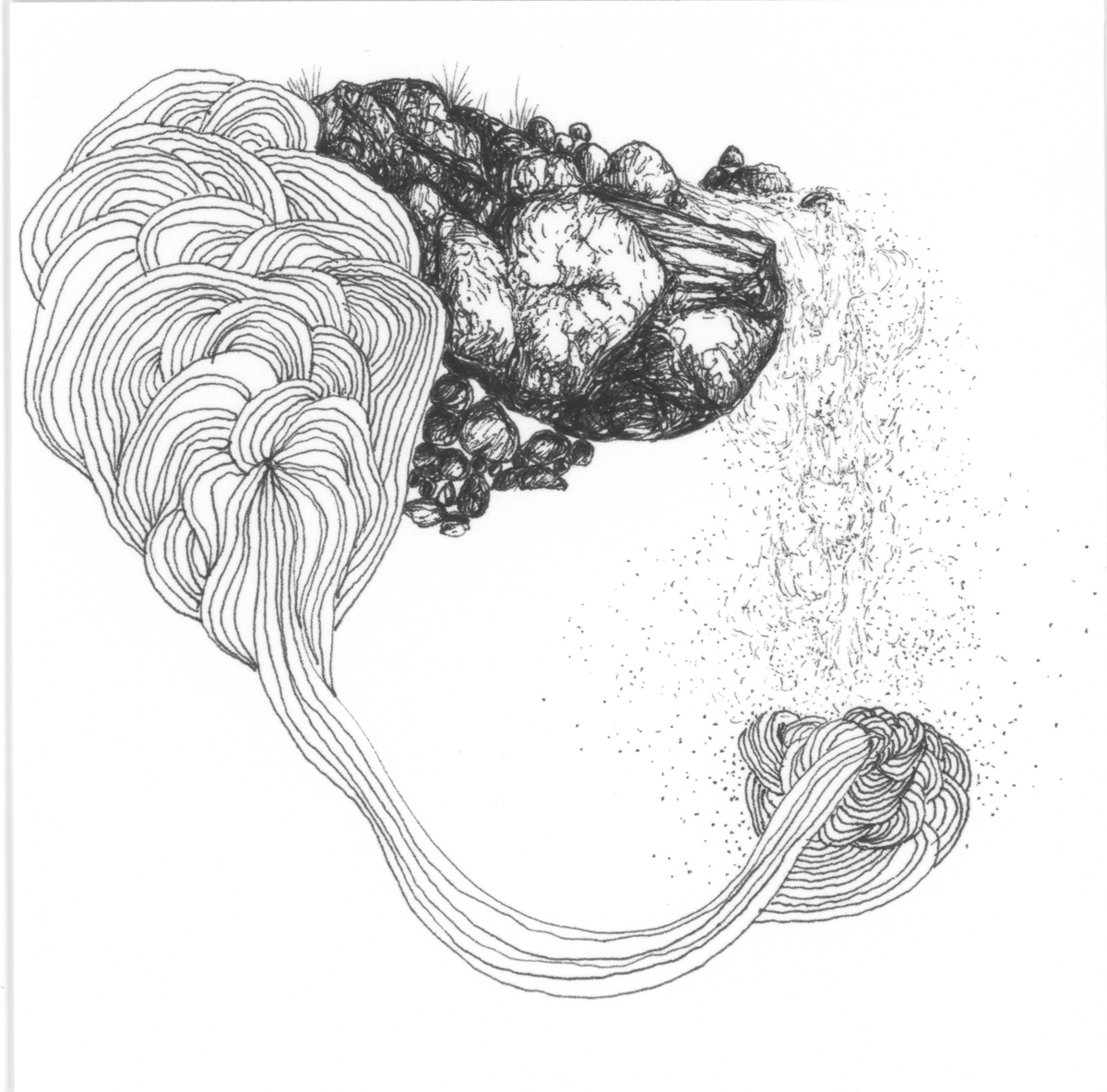 Drawing 67