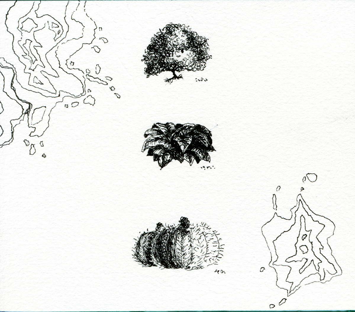 Drawing 79