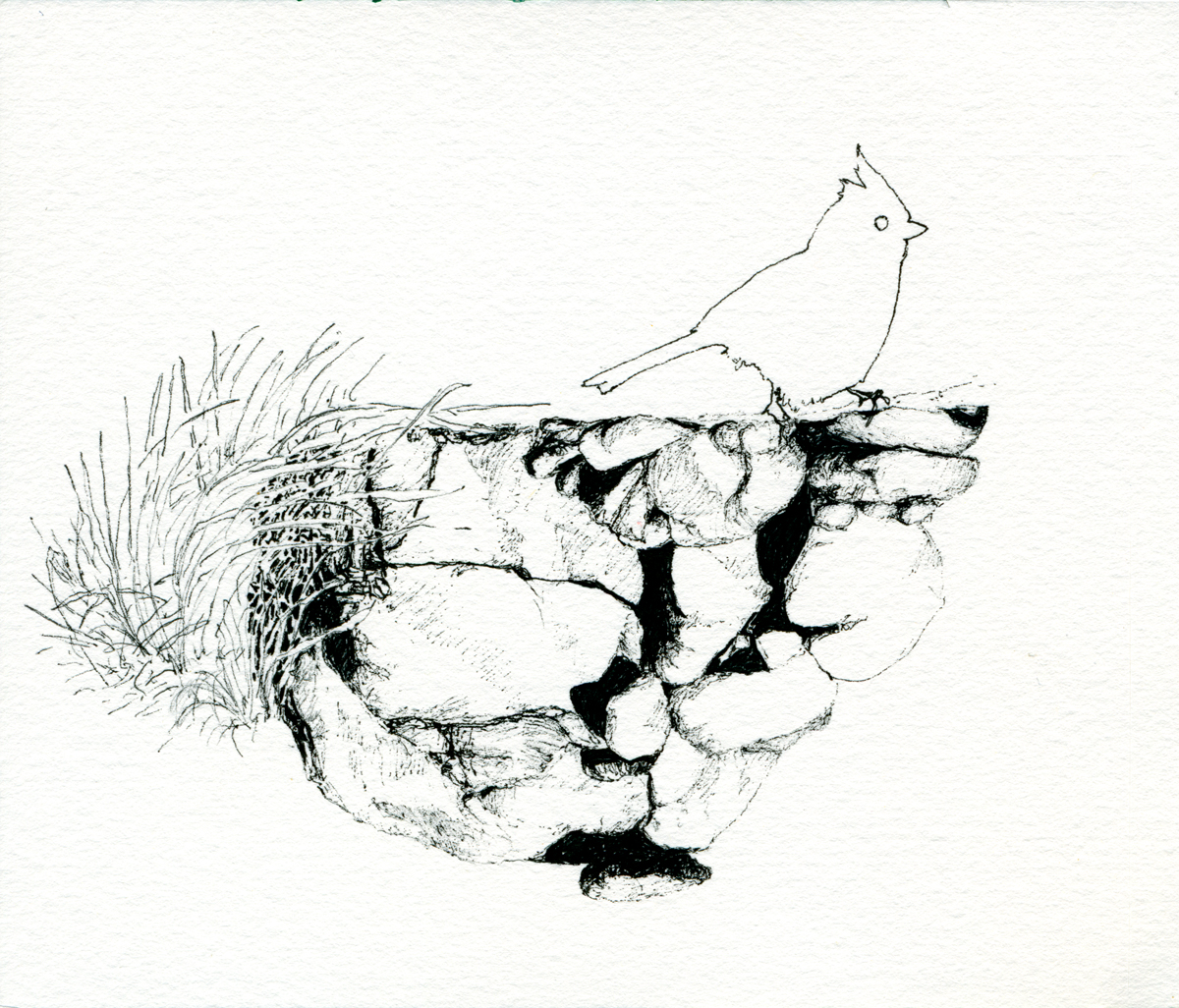 Drawing 95