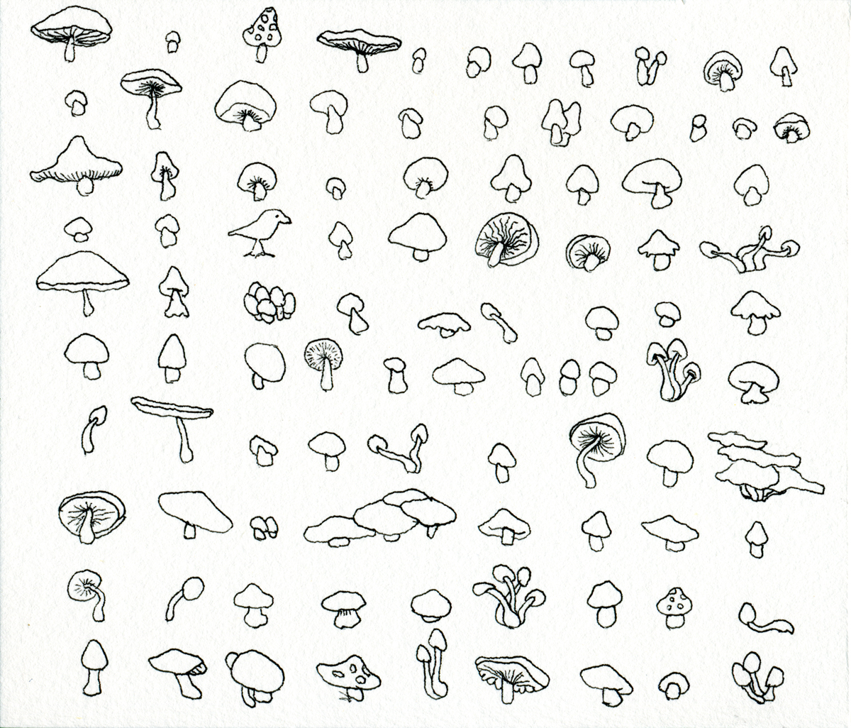 Drawing 102