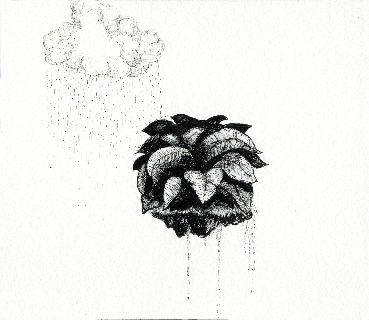 Drawing 107