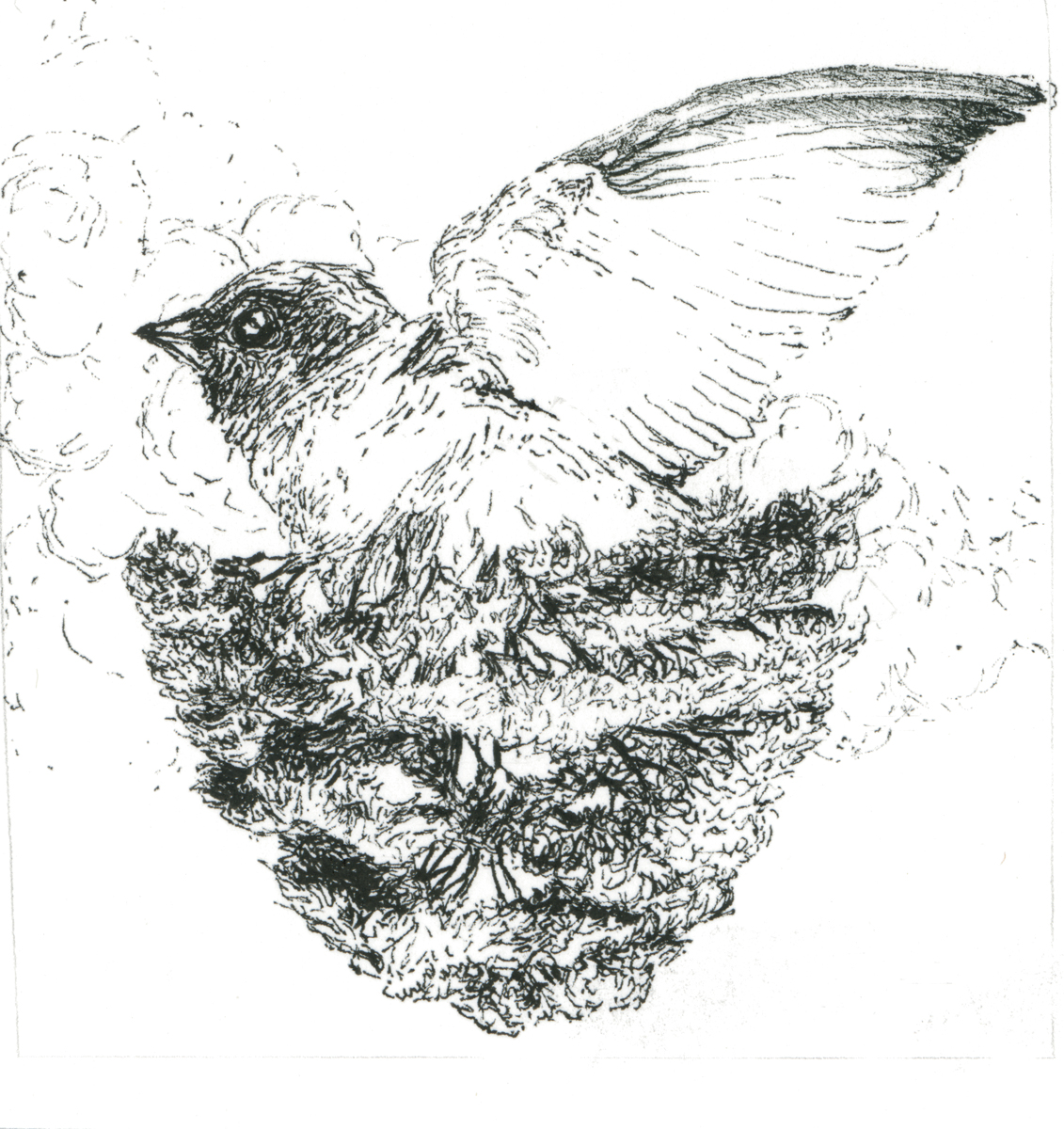 Drawing 109