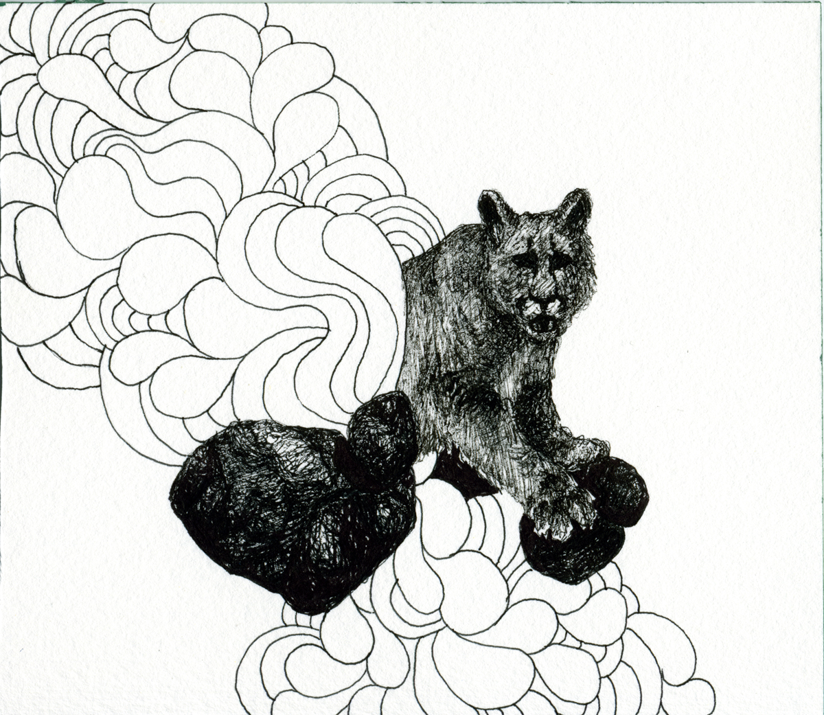 Drawing 114