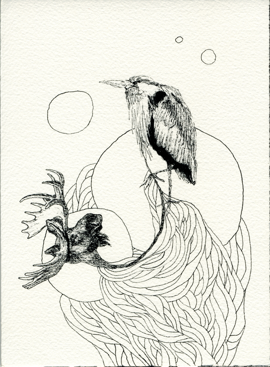 Drawing 116