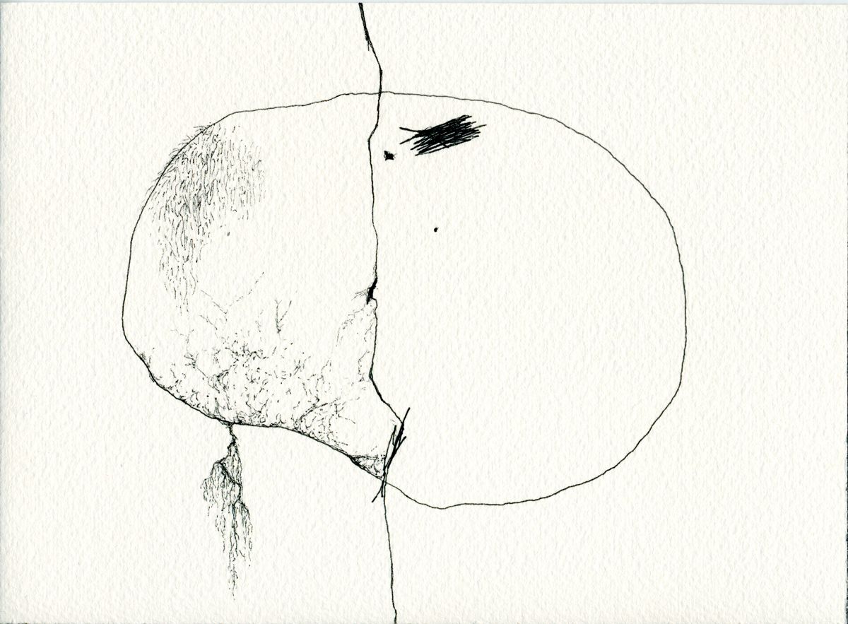 Drawing 117