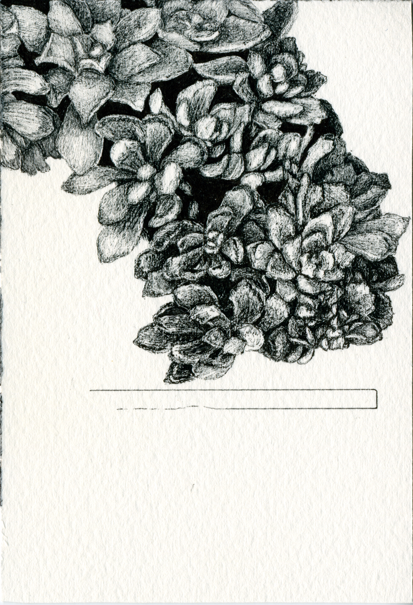Drawing 129