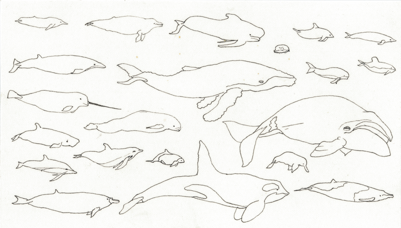 Drawing 137